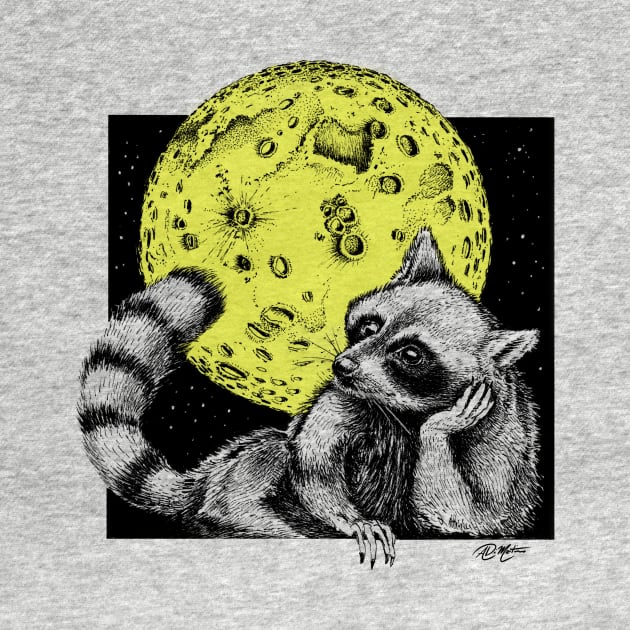 Raccoon Moon by Angelo DiMartino